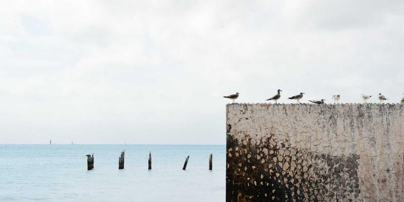 NYC Events与Lifestyle灵感：从石墙酒吧到格林威治村，探索性别平等的时尚记忆