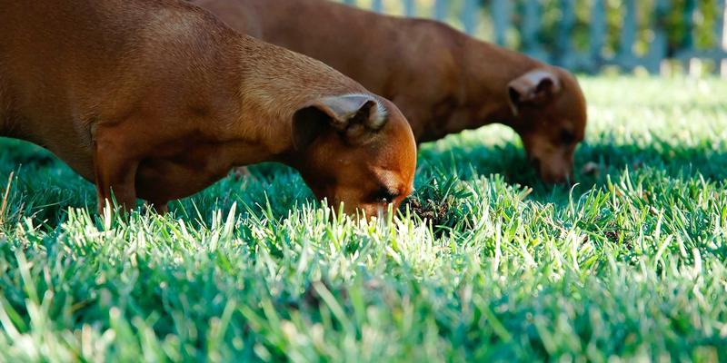 New York City: The Ultimate Guide to Fashion Trends and Urban Living with Joan and Joe NYC