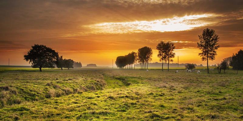 曼哈顿中城屋顶酒吧全攻略：从时代广场夜景到隐藏式空中花园的都市夜生活与时尚指南