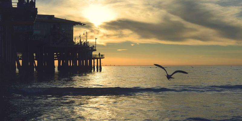 纽约入门指南：从时尚趋势到本地宝藏，探索Joan and Joe NYC的都市脉搏