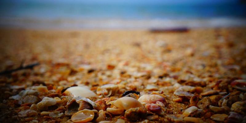 纽约哈莱姆文艺复兴遗产之旅：从爵士俱乐部到灵魂食物，探索塑造当代时尚与都市生活的文化地标