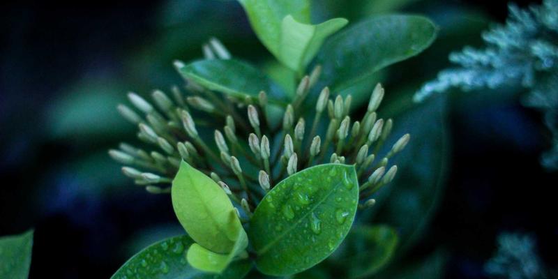 纽约脉搏：解码NYC生活方式、时尚趋势与顶级活动