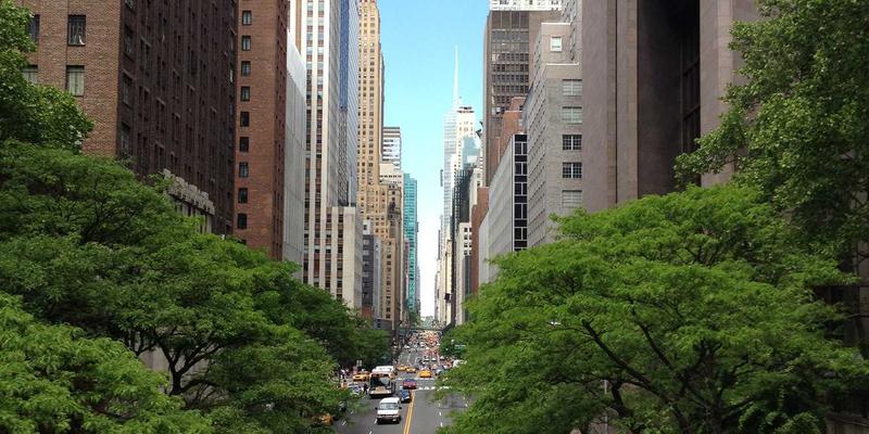 纽约街头风格指南：Astoria地道希腊美食地图，解锁NYC Lifestyle的隐藏篇章