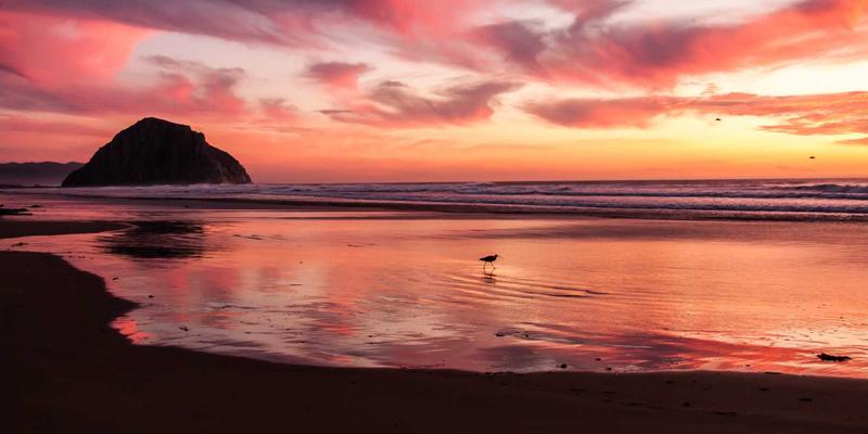 纽约风尚指南：掌握潮流脉搏，玩转大苹果城时尚活动与穿搭精髓